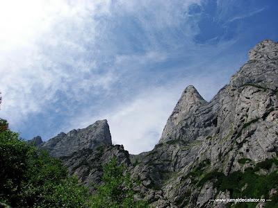 Valea Alba - Albisoara Branei (7).JPG
