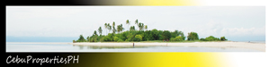 Cebu Real Estate Properties