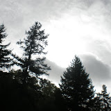 P5280134.JPG