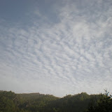 P5280159.JPG