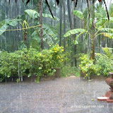 June 2010 (ವೃಷಭ - ಮಿಥುನ)