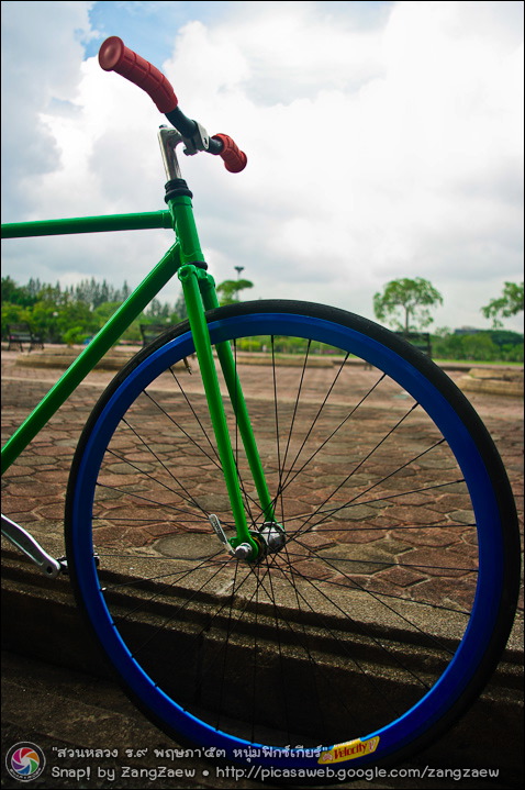 รูปภาพ