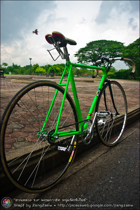 รูปภาพ