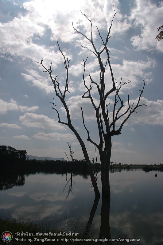 รูปภาพ