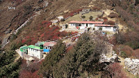 0764 Mong.jpg