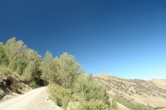 DSC01684.JPG