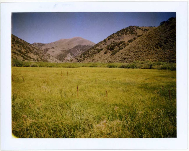img013.jpg