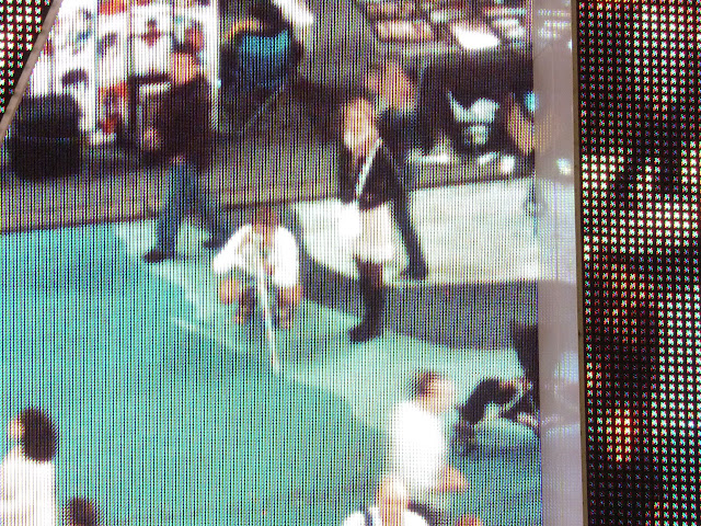 Путушествие по США