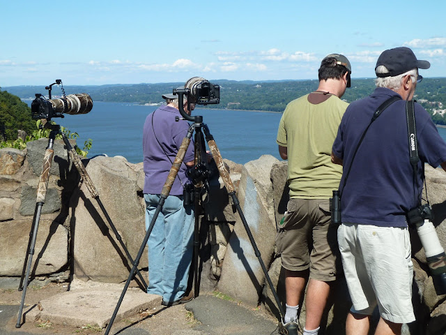 Путушествие по США