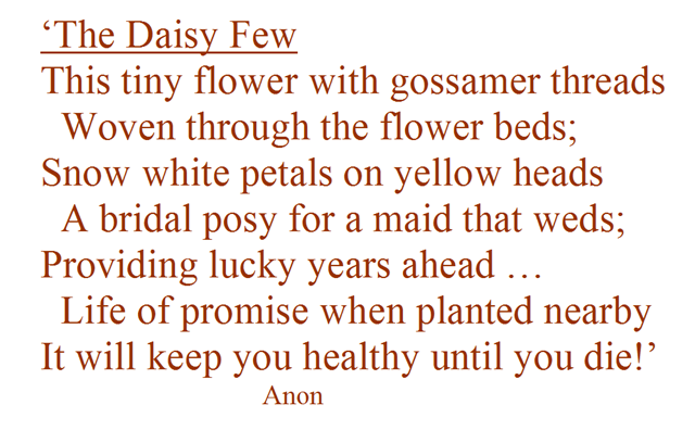 [The Daisy Few - poem[5].png]