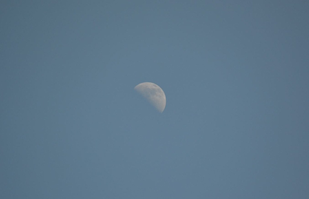 [Moon[2].jpg]