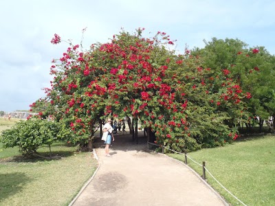 PB200155.JPG
