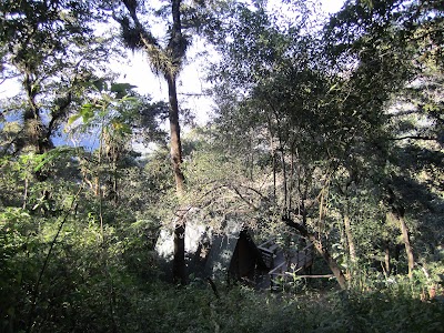 IMG_1578.JPG