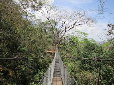 IMG_2472.JPG