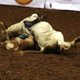 Rodeo