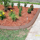 100_0221.JPG