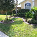 Jeffs pictures 883.jpg