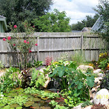 newman pond