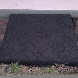 IMAG0228.jpg