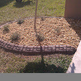 IMAG0242.jpg