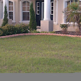 IMAG0245.jpg