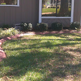 IMAG0253.jpg