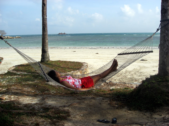 [IMG_5391.JPG]