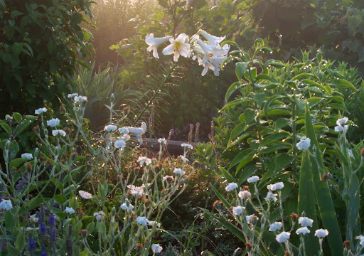 Doa ve Manzara Resimleri (4. Katalog)