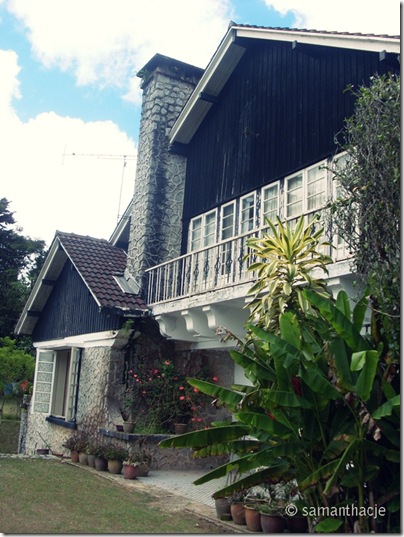 cameron highlands