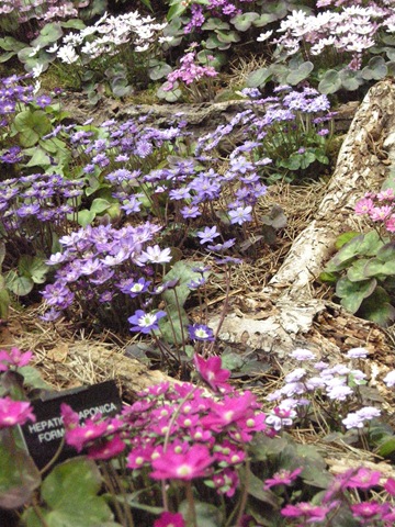 [DSCN19624.jpg]
