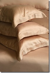 Beltrami sheets