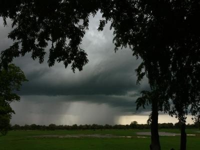 [Thunderstorm[4].jpg]