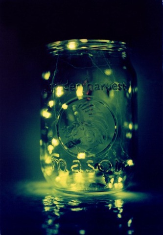 [Fireflies[3].jpg]