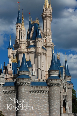 [magic kingdom[6].jpg]