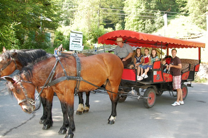 [horse carriage copy[1].jpg]