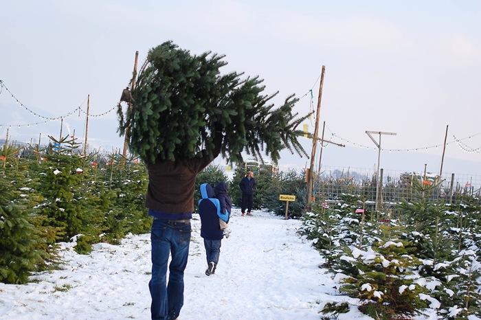 [chris and tree[2].jpg]