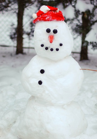 [snowman[12].jpg]