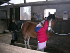karneval 09-7.jpg