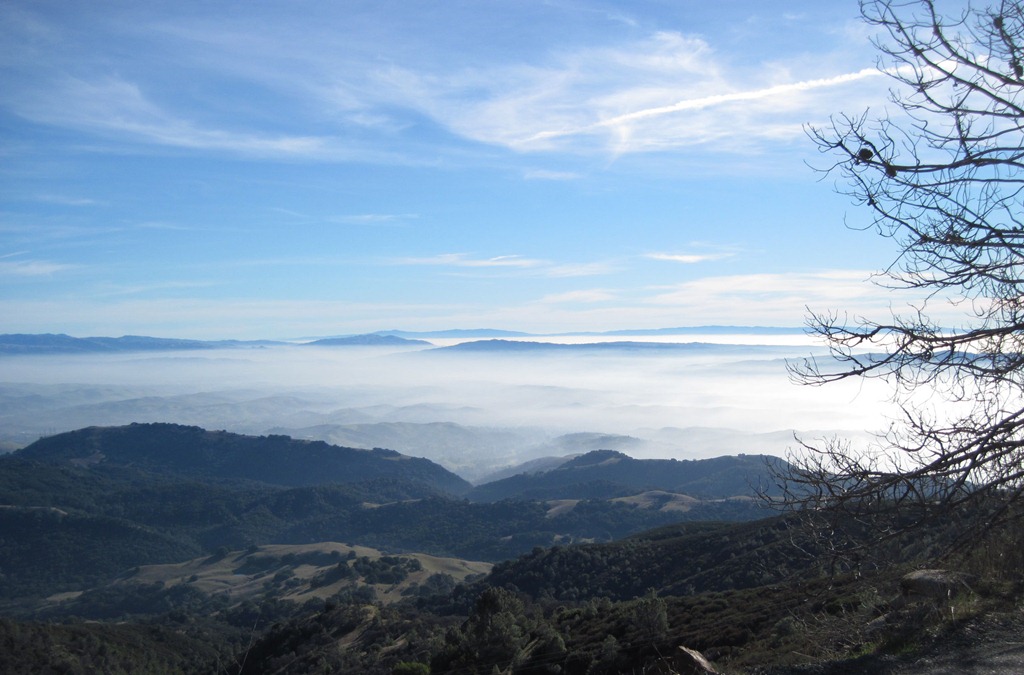 [Mt Diablo Valley 011611[5].jpg]