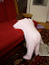 P7110038.JPG