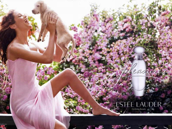 essteelauder 792x594.jpg