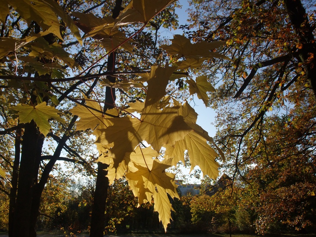 [DSCF031912.jpg]