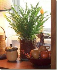 fern and fillers on table