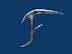18-Nov-2008.04