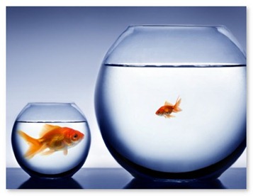 small-business-survival-guide