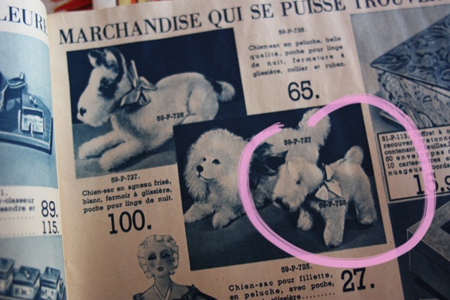 [chiensac[5].jpg]