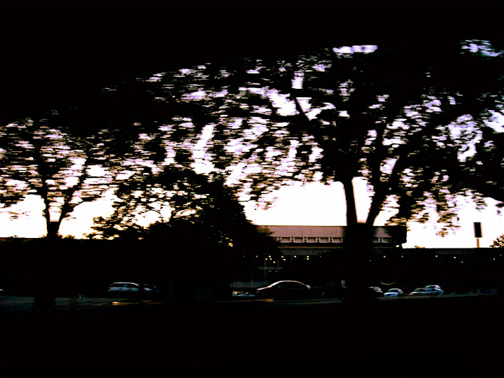 LBJ School