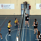 Partit Escorp� Senior Femen� - Pollen�a