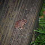 nikon_2323.JPG