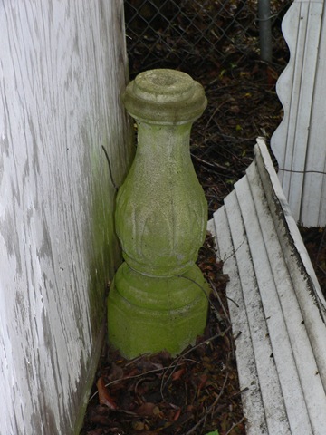 [P1040523[1].jpg]